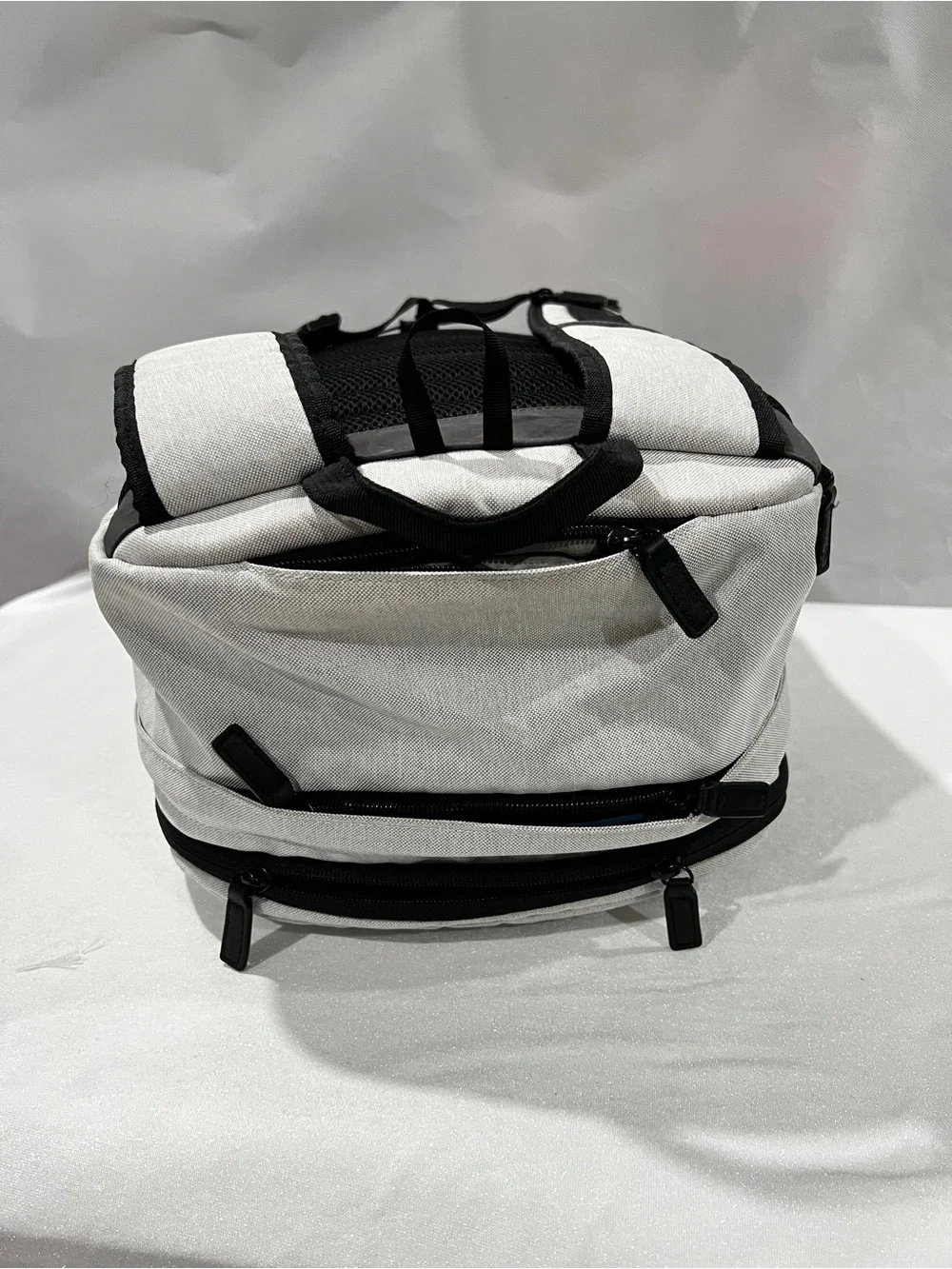 Tavik preowned gray